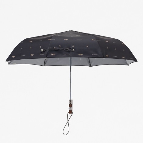 Folding Umbrella