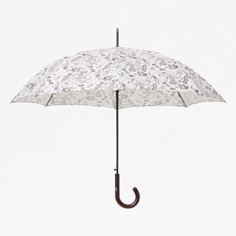 Cartoon Umbrella