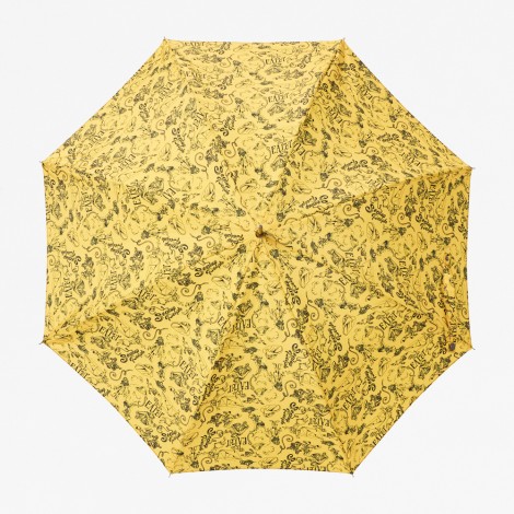 Cartoon Umbrella