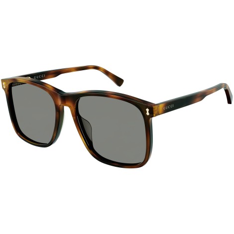 GG1041S 002 dark tortoise