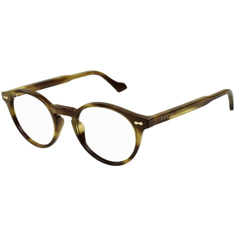 GG0738O 005 brown tortoise