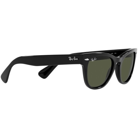 Laramie RB2201 901/31 black