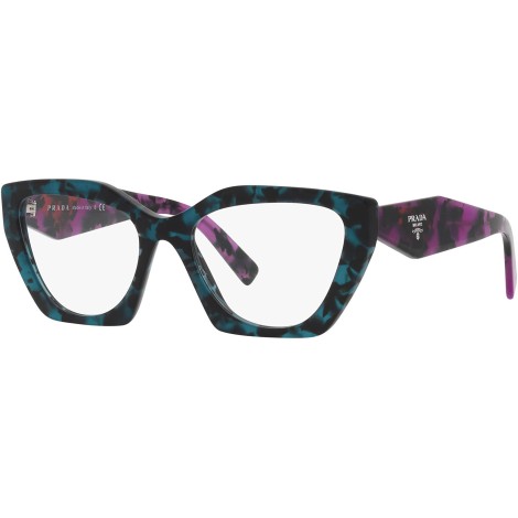 PR 09YV 06Z1O1 teal tortoise