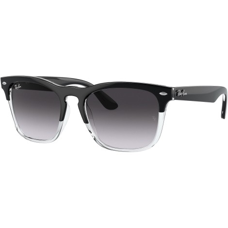 Steve RB4487 66308G black on transparent