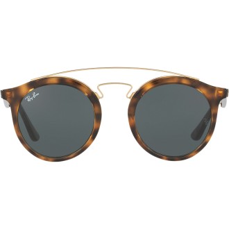 New Gatsby I RB4256 710/71 tortoise