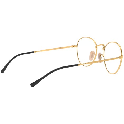 Round Metal Optics II RB3582V gold on top black