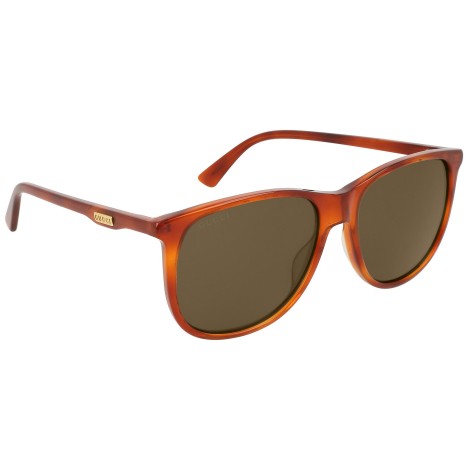 GG0263S light tortoise and brown