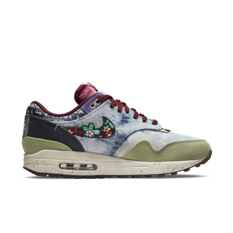 Nike Air Max 1 SP Concepts Mellow