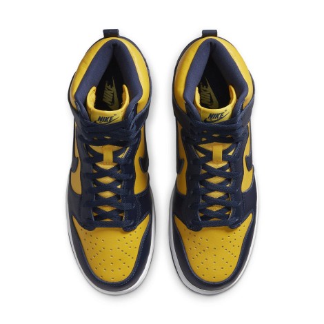 Nike Dunk High Michigan (2020)