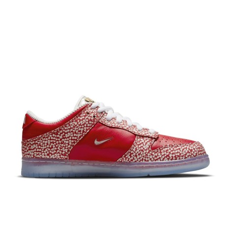 Nike Dunk SB Low Stingwater Magic Mushroom