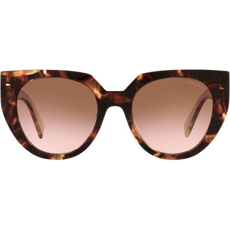 PR 14WS caramel tortoise and powder