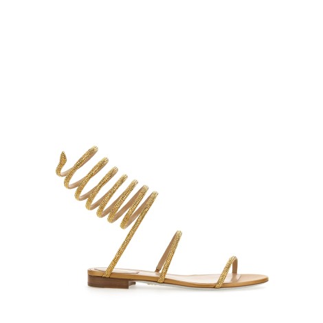 rene caovilla sandal 105 cleo