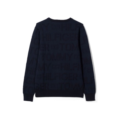 tommy hilfiger jacquard all over sweater


