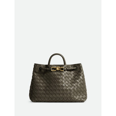 Bottega Veneta `Medium Andiamo`