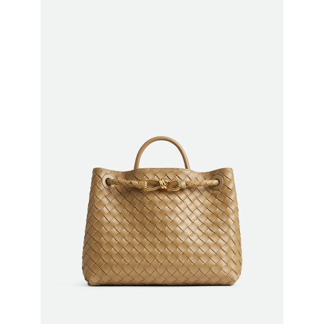 Bottega Veneta `Medium Andiamo`