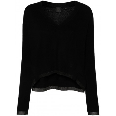 Pinko `Spessore` Sweater