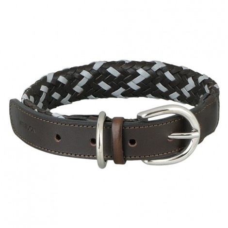 Dogs Collar