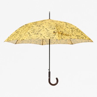 Cartoon Umbrella