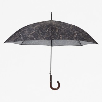 Cartoon Umbrella