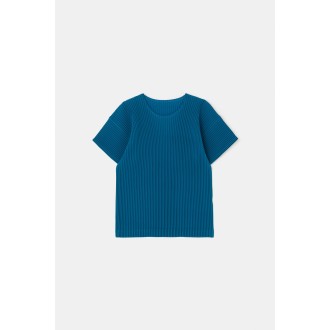 Homme Plisse Issey Miyake Color Pleats