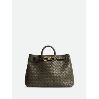 Bottega Veneta `Medium Andiamo`